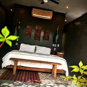  Bed and breakfast Casa Vive